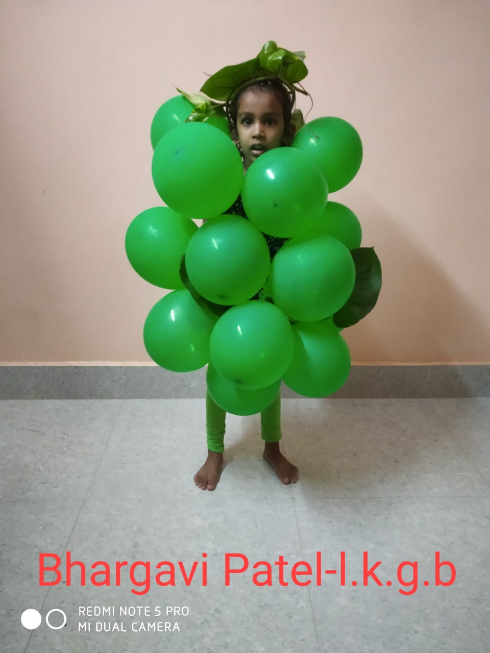  FANCY DRESS COMPETITION-LKG-B